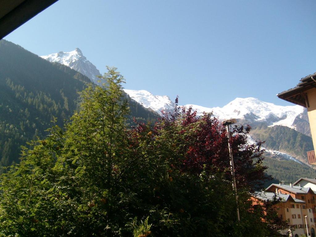 Appartement T2 Chamonix Centre Balcon Vue Mont Blanc Екстериор снимка